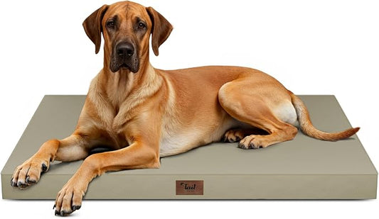 Jumbo Waterproof Orthopedic Dog Bed for Extra Large Dogs | Egg Crate Foam, Pressure Relief, Fits 54x37 Crates, Machine Washable 1680D Oxford Cover, Indoor & Outdoor Use, Up to 150 lbs by TailStories
