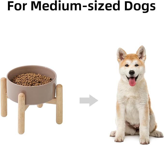 Havniva Elevated Dog Bowls Ceramic Dog Bowls with Stand, Dog Food Bowl | 6.1” Raised Dog Bowls with Non-Slip Wood Stand, Dog Food and Water Bowl Set, Dog Feeding Bowls for Small & Medium Dogs - Image 3