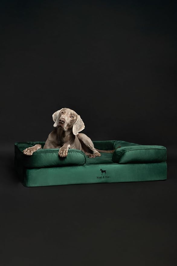 NOAH & PAW XL Dog Bed, 45x35x11 Inch, Orthopedic Large Dog Beds, Eggshell Memory Foam Infused with Cooling Gel, Inner Cover, Water Resistant, Machine Washable (Velvet Sofa Collection) - Image 6