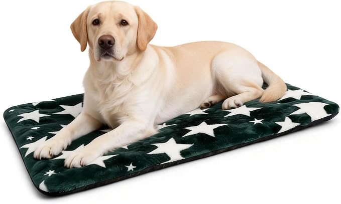 Washable Dog Bed Mat with Anti-Slip Bottom, Deluxe Plush Memory Foam Crate Pad & Waterproof Outdoor Kennel Mat for Dogs & Cats-Durable Crates Beds, Large Medium Small Puppy Size36 x 24",Green by Unknown