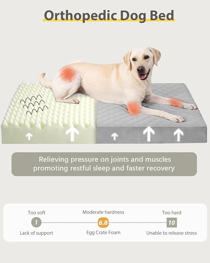 NUPIDA Jumbo Dog Bed for Extra Large Sized Dog Orthopedic Pet Bed with Removable Washable Cover and Non-Slip Bottom, 53x36 Inch, Light Gray - Image 3
