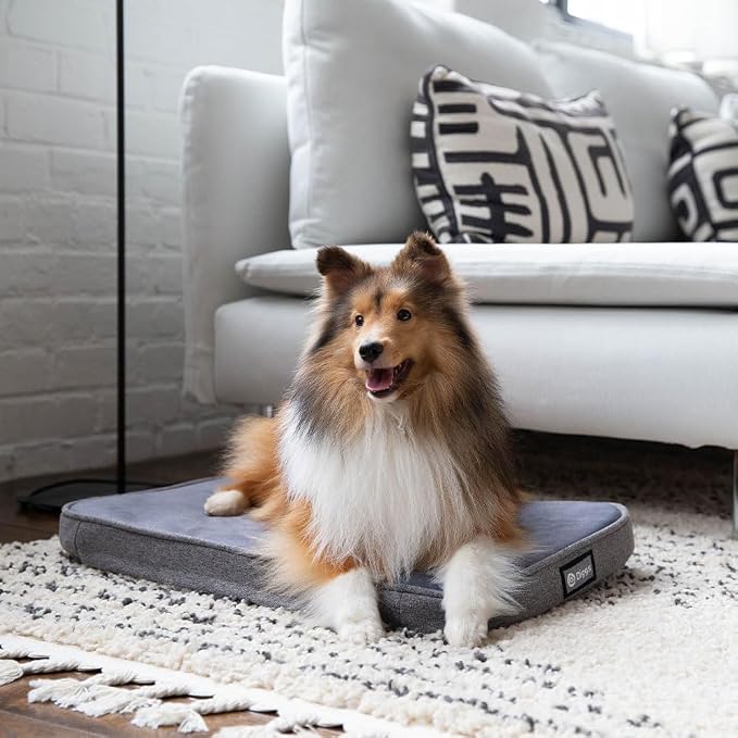 Diggs Snooz Memory Foam Dog Bed - Ideally Sized Revol Dog Crate Pad - Premium Orthopedic Pet Bed for Crate or Home - Grey, Medium - Image 4