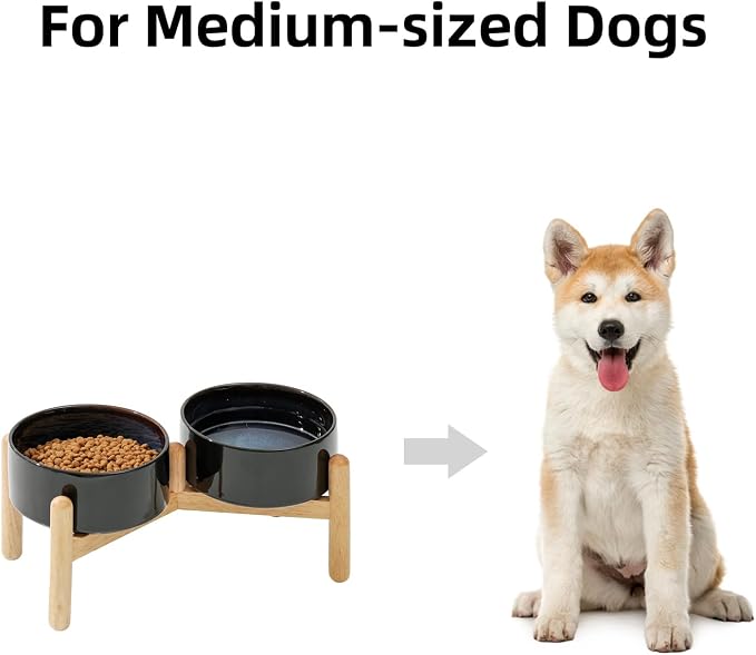 Havniva Elevated Dog Bowls Ceramic Dog Bowls with Stand, Dog Food Bowl | 6.1” Raised Dog Bowls with Non-Slip Wood Stand, Dog Food and Water Bowl Set, Double Dog Feeding Bowls for Small & Medium Dogs - Image 5