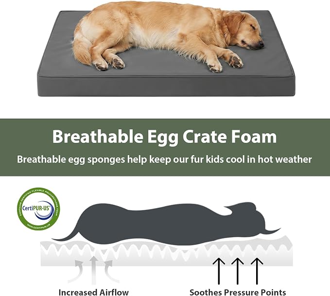 WNPETHOME Outdoor Waterproof Dog Bed Large Sized, Washable Creat Pad 36" | Outdoor & Indoor Use, For Large Sized Dog, Removable Washable Cover, Egg Crate Foam Orthopedic Dog Mat, Up to 60 lbs - Image 5