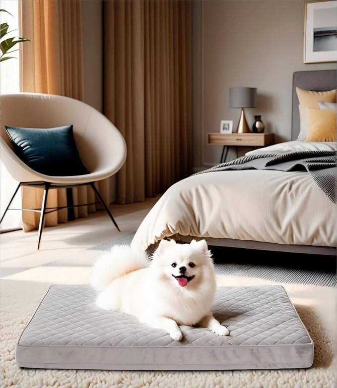 NUPIDA Orthopedic Dog Beds for Small Dogs Waterproof with Removable Washable Cover and Non-Slip Bottom, Quilting Dog Bed for Crate, 23x17 Inch, Light Gray by NUPIDAPet%E2%80%99sHome