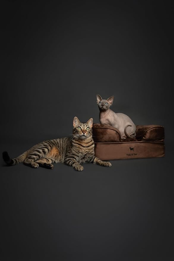 NOAH & PAW Small Dog Bed, 20x15x8 Inch, Cat Bed for Indoor Cats, Orthopedic Eggshell Memory Foam Infused with Cooling Gel, Water Resistant Inner Cover Machine Washable (Velvet Collection) - Image 3