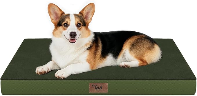 Outdoor Waterproof Orthopedic Dog Bed for Large Dogs | Egg Crate Foam for Joint Support, TPU Waterproof Layer, Machine Washable 1680D Oxford Cover, 36 x 27 Inch, Up to 65 lbs by TailStories