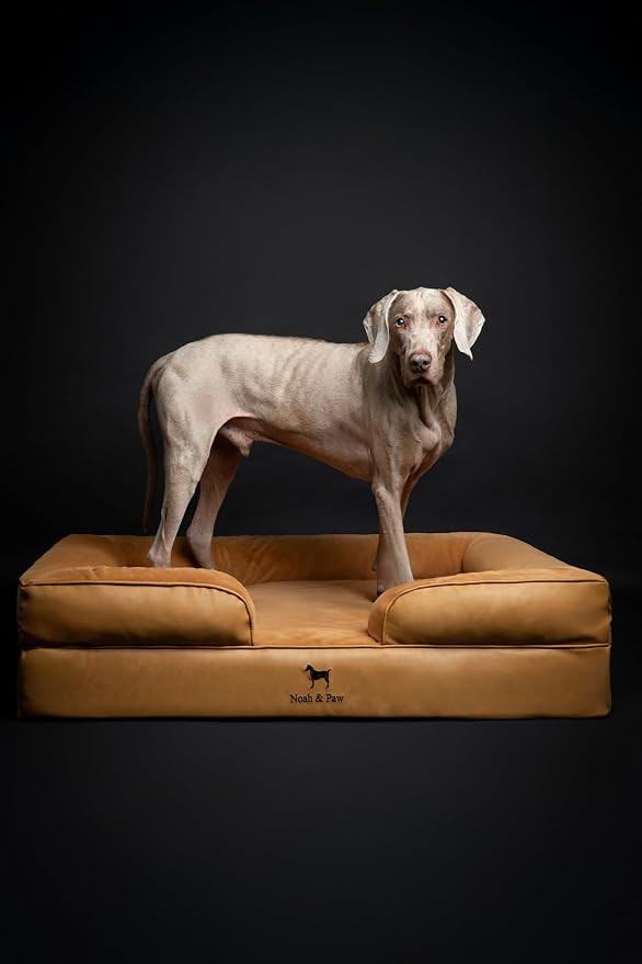 NOAH & PAW XL Dog Bed, 45x35x11 Inch, Orthopedic Large Dog Beds, Eggshell Memory Foam Infused with Cooling Gel, Inner Cover, Water Resistant, Machine Washable (Faux Leather) - Image 7