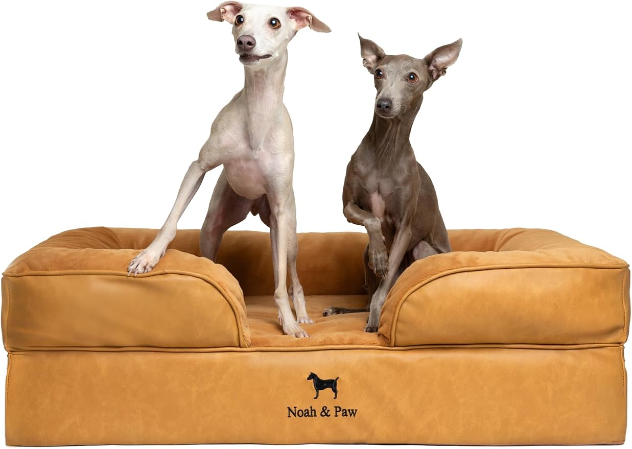 NOAH & PAW Large Dog Bed, 35x25x11 Inch, Orthopedic Dog Beds, Eggshell Memory Foam Infused with Cooling Gel, Inner Cover, Water Resistant, Machine Washable (Faux Leather) by NoahPaw