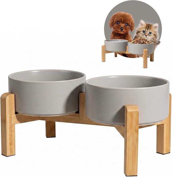 Elevated Ceramic Dog Bowl, 2 Cups Dog Food and Water Bowl Set with Stand | 5.1'' Double Dog Feeding Dishes, Non-Slip Raised Dog Feeder for Cats and Puppies, 16.23 OZ / 480 ML, White by PTOBER