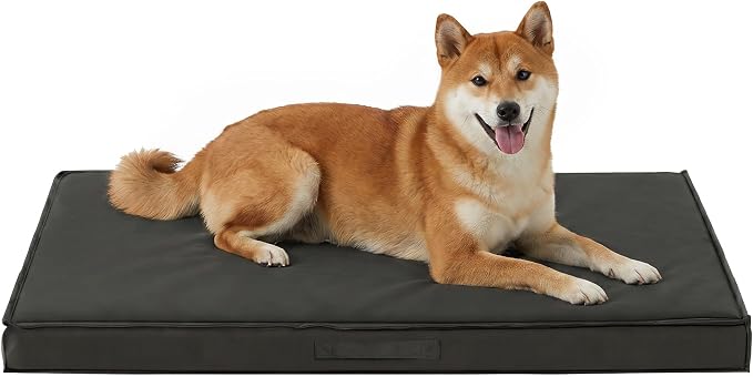 Outdoor Dog Bed Large Sized Dog, Waterproof Dog Bed Large, 36x27x3 Inch, Orthopedic Dog Bed with Removable Washable Cover, Rectangle Egg Crate Foam Pet Bed for Camping, Outside, Dark Grey by Aeroluxe
