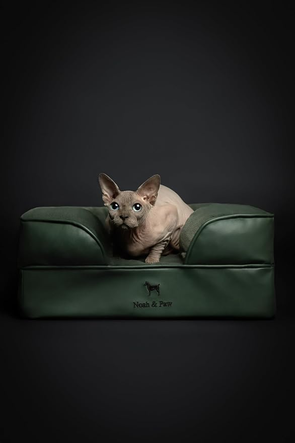 NOAH & PAW Small Dog Bed, 20x15x8 Inch, Cat Bed for Indoor Cats, Orthopedic Eggshell Memory Foam Infused with Cooling Gel, Water Resistant Inner Cover Machine Washable (Faux Leather) - Image 2