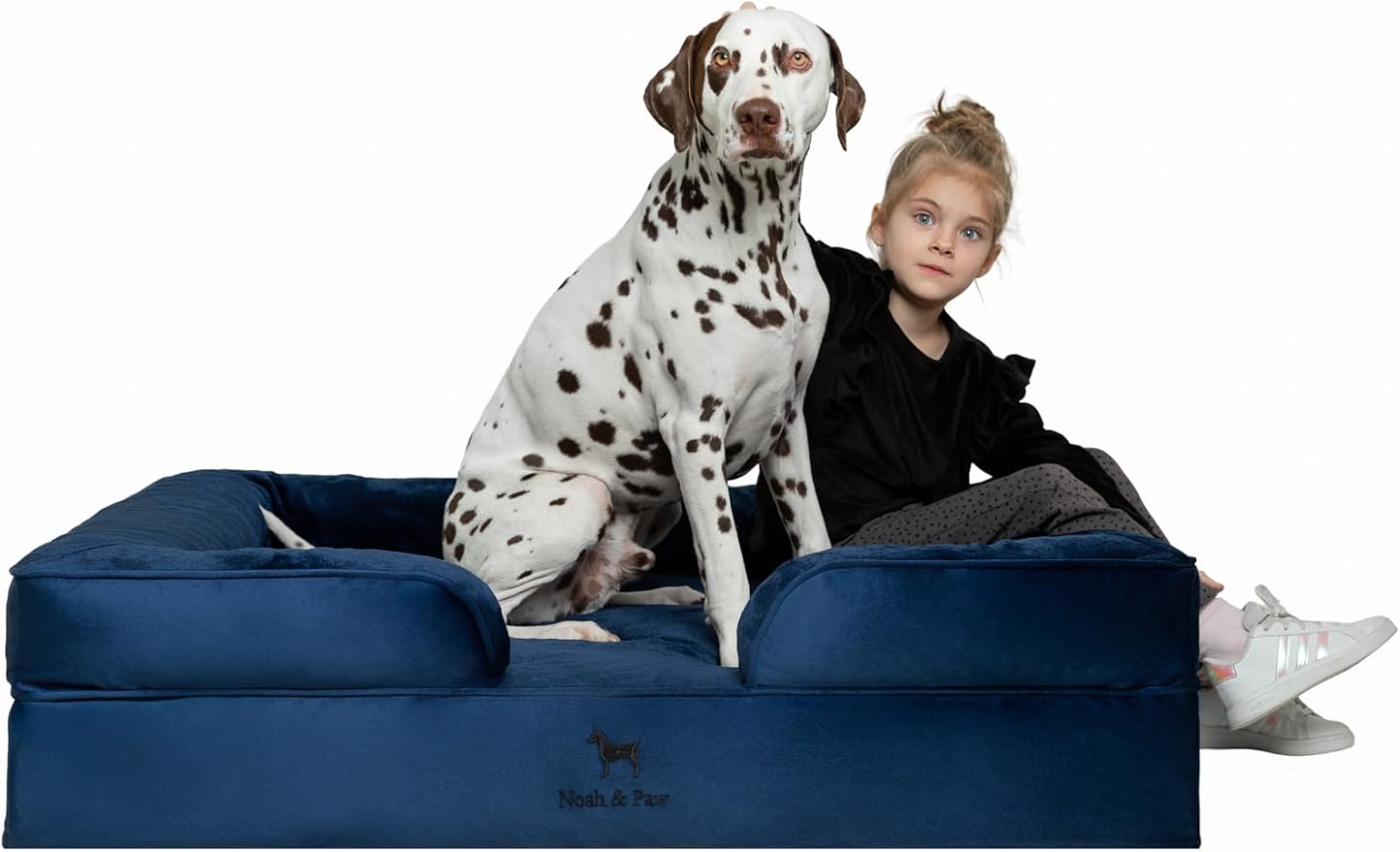 NOAH & PAW XL Dog Bed, 45x35x11 Inch, Orthopedic Large Dog Beds, Eggshell Memory Foam Infused with Cooling Gel, Inner Cover, Water Resistant, Machine Washable (Velvet Sofa Collection) by NoahPaw