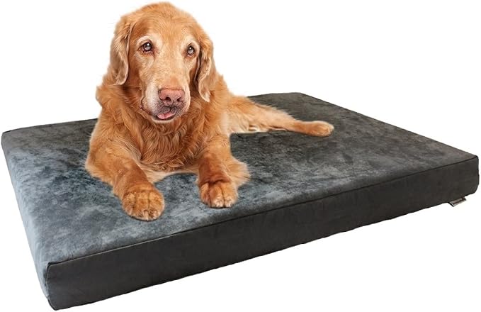 Dogbed4less Orthopedic Dog Bed with Memory Foam for Medium Large Pet, Waterproof Liner, Washable Microsuede Gray Cover, 41X27X4 Inch (Fit 42X28 Crate) by Dogbed4less