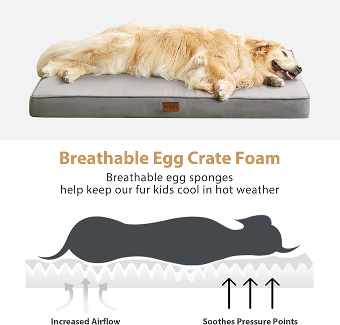 BFPETHOME Outdoor Waterproof Dog Bed for Large Dogs, Washable Cover, 54" | Outdoor & Indoor Use, Waterproof, For Medium, Large, Extra Large Dogs, Orthopedic, Egg Crate Foam, Up to 130 lbs - Image 5
