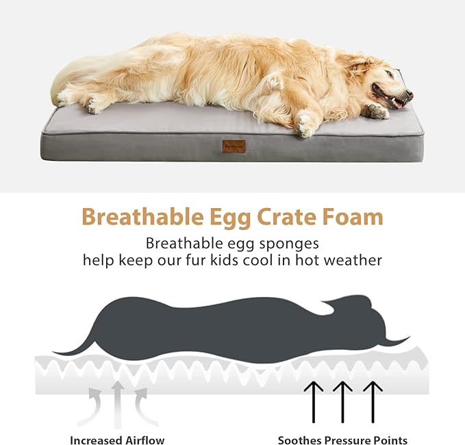 BFPETHOME Outdoor Waterproof Dog Bed for Large Dogs, Washable Cover, 36" | Outdoor & Indoor Use, Waterproof, For Medium, Large, Extra Large Dogs, Orthopedic, Egg Crate Foam, Up to 60 lbs - Image 5