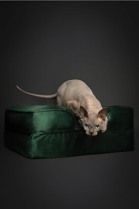 NOAH & PAW Small Dog Bed, 20x15x8 Inch, Cat Bed for Indoor Cats, Orthopedic Eggshell Memory Foam Infused with Cooling Gel, Water Resistant Inner Cover Machine Washable (Velvet Collection) - Image 2