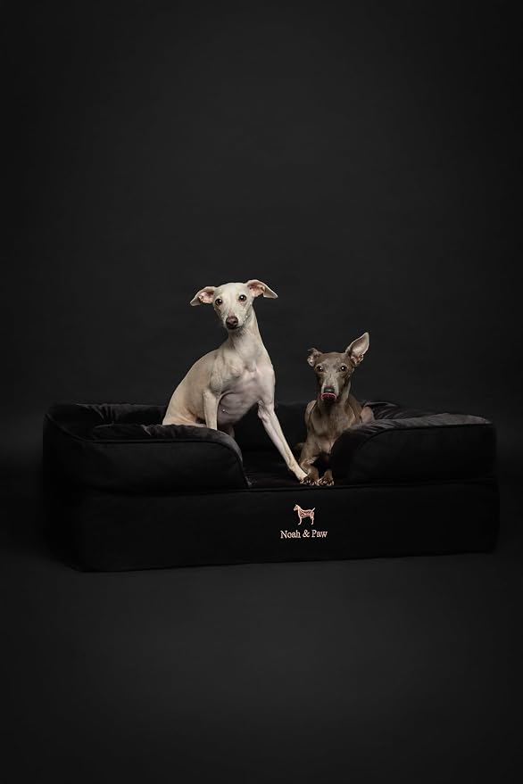 NOAH & PAW Large Dog Bed, 35x25x11 Inch, Orthopedic Dog Beds, Eggshell Memory Foam Infused with Cooling Gel, Inner Cover, Water Resistant, Machine Washable (Denim Sofa Collection) - Image 6