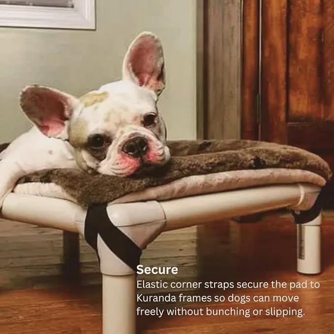 Kuranda Pillow Pad - X-Large - 44" x 27" - Smoke - Image 6
