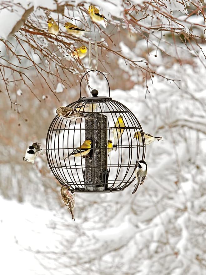 Gardener's Supply Company Globe Cage Bird Feeder | Outdoor Sturdy and Squirrel Proof Hanging Cage | Best for Finches Hummingbirds Nuthatches and Other Small Birds - Holds 3 Cups of Seeds - Image 4