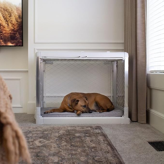 Diggs Snooz Memory Foam Dog Bed - Ideally Sized Revol Dog Crate Pad - Premium Orthopedic Pet Bed for Crate or Home - Grey, Large - Image 4