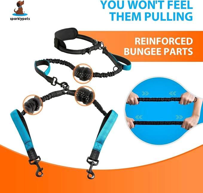 SparklyPets - Hands Free Dual Dog Leash for Medium and Large Male Dogs - Padded Handles, Reflective Stitches, No Pull, Tangle Free - Walking, Hiking, Jogging, Canicross Waist Leash - Gradient Blue - Image 3