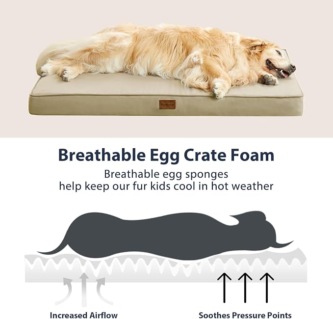 BFPETHOME Outdoor Waterproof Dog Bed for Large Dogs, Washable Cover, 47" | Outdoor & Indoor Use, Waterproof, For Medium, Large, Extra Large Dogs, Orthopedic, Egg Crate Foam, Up to 110 lbs - Image 5