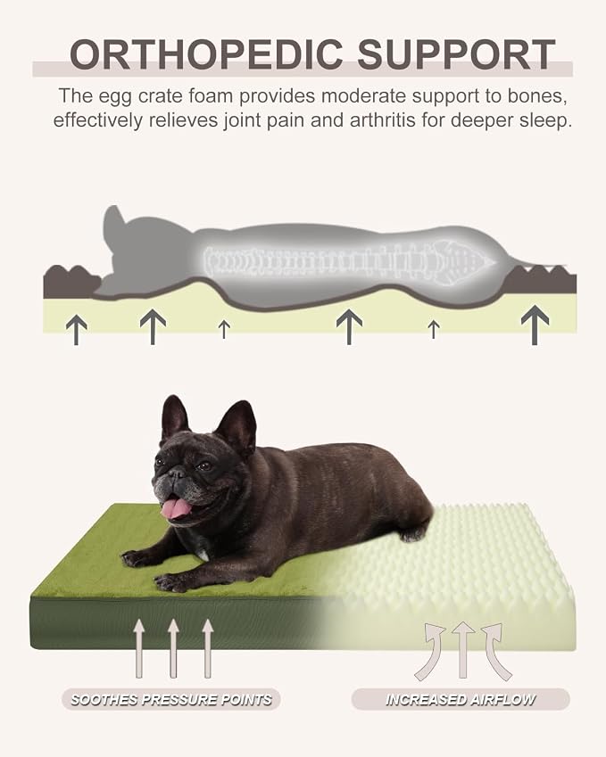 KSIIA Orthopedic Dog Bed for Small Dogs with Waterproof Lining, Green,23x17 | Deluxe Soft Plush Dog Crate Bed, Washable Pet Mat with Removable Cover & Egg Crate Foam for Small Dogs Sleeping & Relaxing - Image 2