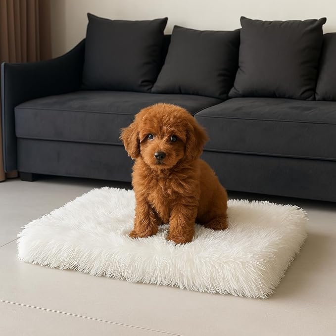 Faux Fur Orthopedic Rectangular Dog Bed, Memory Foam, White Medium 35"x23" | Plush Sheepskin Style Furry Rug, Calming for Senior and Large Dogs, Washable Waterproof Cover, Fits Crates and Floors by iHappyDog