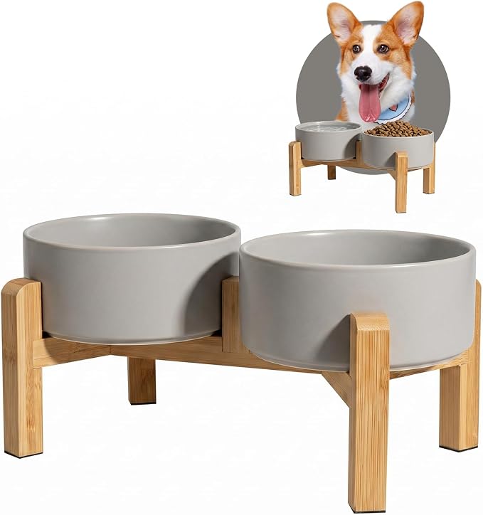 Elevated Ceramic Dog Bowl, 3.6 Cups Dog Food and Water Bowl Set with Stand | 6.1'' Double Dog Feeding Dishes, Non-Slip Raised Dog Feeder for Small and Medium Breeds, 28.74 OZ / 850 ML, White by PTOBER