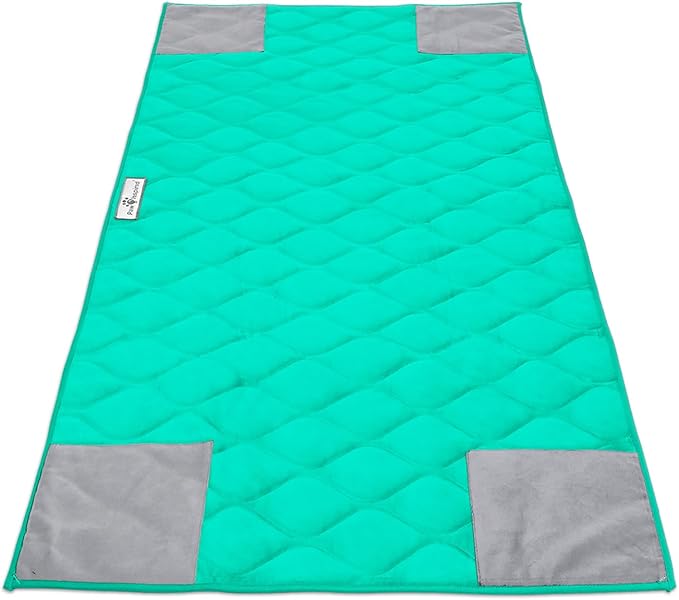 Paw Inspired PopCorner Washable Fleece Cage Liners, C&C 2x4, Green | Reinforced Corners, Super Absorbent Mat, Bedding, Waterproof Bottom, Guinea Pigs, Ferrets, Rabbits, Hamsters, Small Animals by HOME
