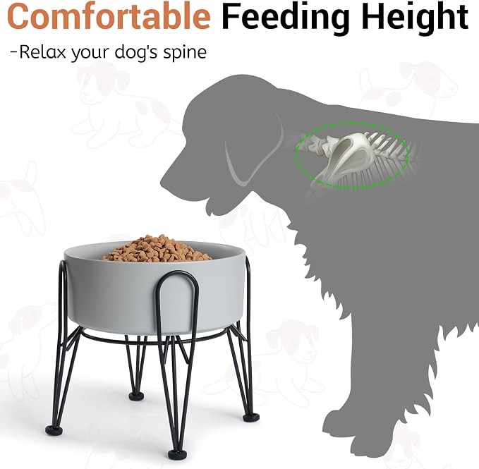 Elevated Dog Bowls, Ceramic Raised Dog Bowl Set with Anti-Slip and Non-Tip Metal Stand, 2 Pack Pet Food and Water Feeding Bowls for Small and Medium Dogs (Gray,7.6 Cups) - Image 2