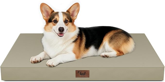 Outdoor Waterproof Orthopedic Dog Bed for Large Dogs | Egg Crate Foam for Joint Support, TPU Waterproof Layer, Machine Washable 1680D Oxford Cover, 36 x 27 Inch, Up to 65 lbs by TailStories