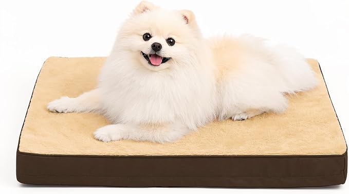 NUPIDA Waterproof Small Dog Bed for Crate with Washable Cover, 23x17, Brown | Cat Puppy Bed, TPU Waterproof Layer, Soft Plush Surface, Durable Oxford Fabric, Non-Slip Bottom, For Small Breeds ≤20lbs by NUPIDAPet%E2%80%99sHome