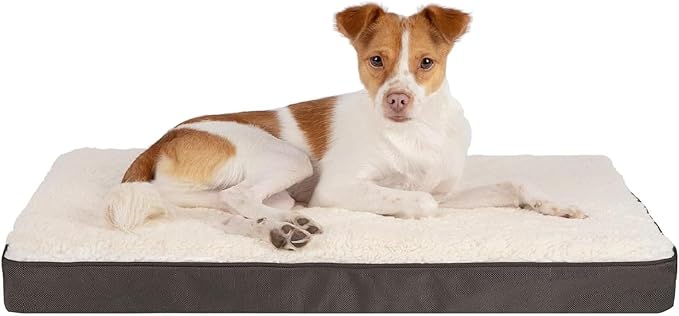 Best Pet Supplies Orthopedic Dog Bed with Memory Foam, Washable Dog Crate Mat for Small, Medium & Large Dogs, Thick Mattress for Crates, Kennels or Floor, Waterproof Pet Bed - Brown, 35 x 22 x 4 by BestPetSuppliesLLC