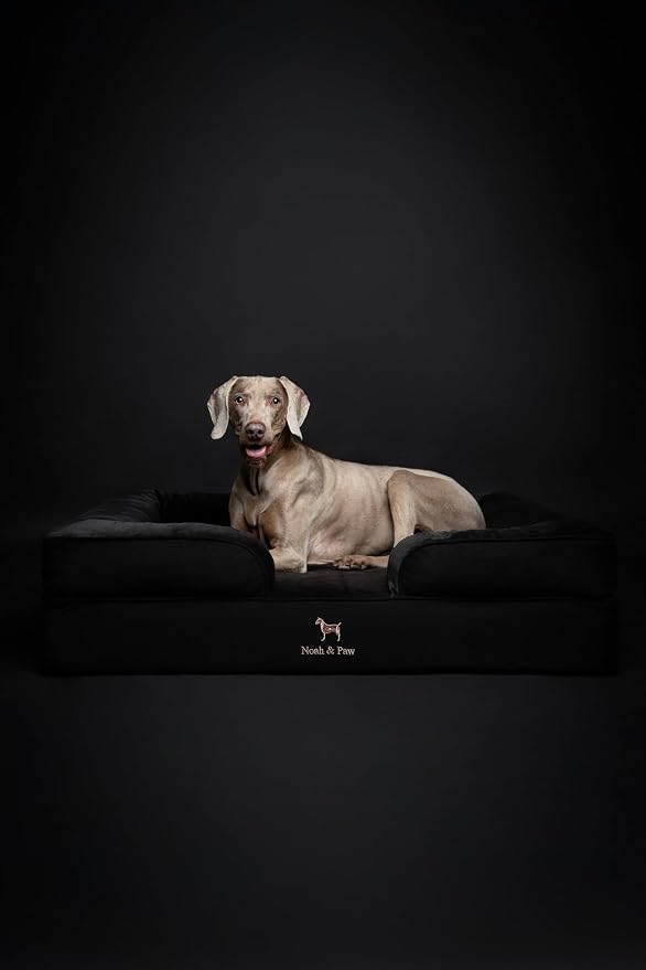 NOAH & PAW XL Dog Bed, 45x35x11 Inch, Orthopedic Large Dog Beds, Eggshell Memory Foam Infused with Cooling Gel, Inner Cover, Water Resistant, Machine Washable (Denim Sofa Collection) - Image 6