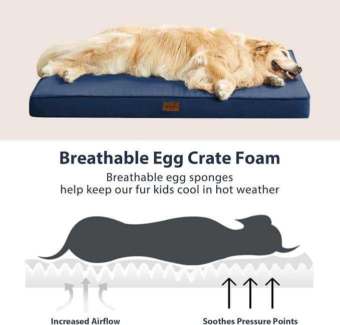 BFPETHOME Outdoor Waterproof Dog Bed for Large Dogs, Washable Cover, 36" | Outdoor & Indoor Use, Waterproof, For Medium, Large, Extra Large Dogs, Orthopedic, Egg Crate Foam, Up to 60 lbs - Image 5