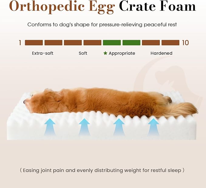 Medium Dog Bed Orthopedic Foam with Waterproof Lining | Egg crate foam for joint support. Soft plush surface. Non-slip bottom. Removable & machine washable cover. OEKO-TEX certified - Image 3
