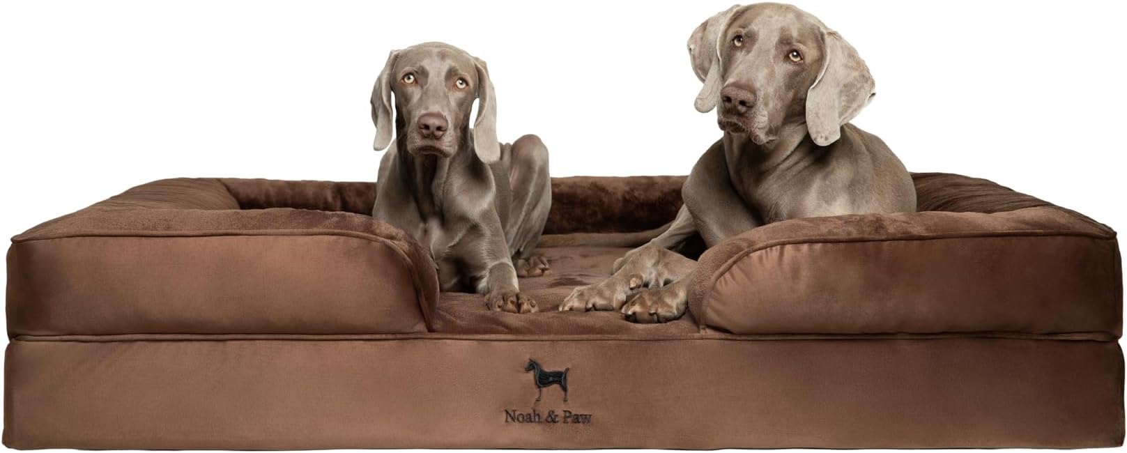 NOAH & PAW Giant Dog Bed XXL, 55x45x11 Inch, Orthopedic Dog Beds, Eggshell Memory Foam Infused with Cooling Gel, Inner Cover, Water Resistant, Machine Washable (Velvet Sofa Collection) by NoahPaw