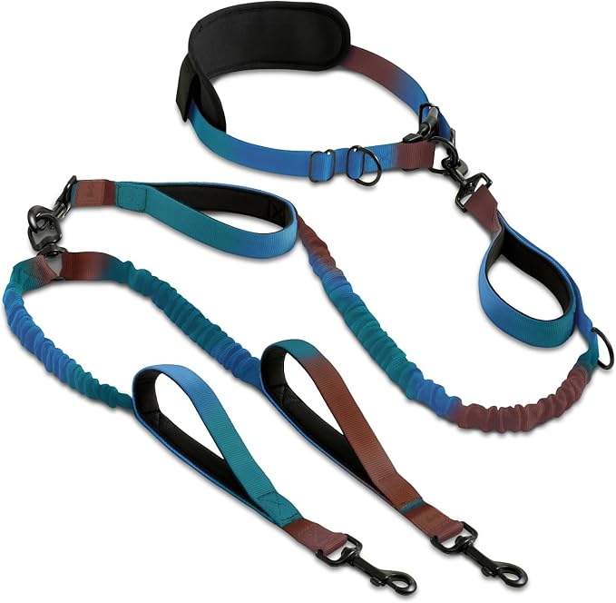 SparklyPets - Hands Free Dual Dog Leash for Medium and Large Male Dogs - Padded Handles, Reflective Stitches, No Pull, Tangle Free - Walking, Hiking, Jogging, Canicross Waist Leash - Gradient Blue by SparklyPets
