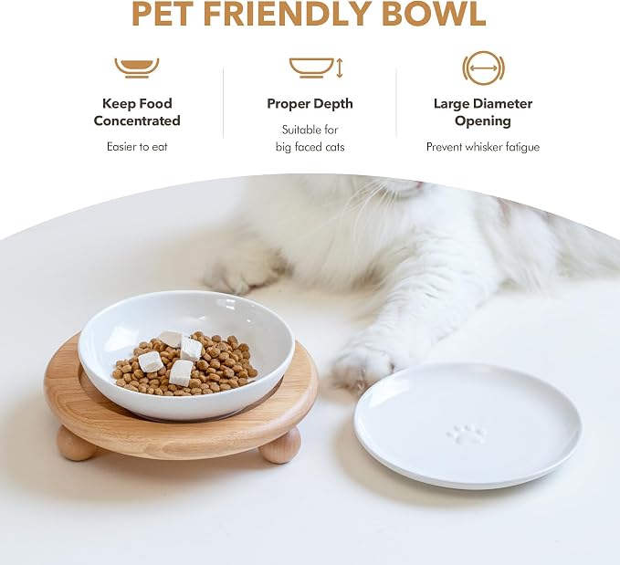 Havniva Elevated Cat Bowls, Raised Ceramic Cat Bowl with Stand, Two Heights | Cat Food & Water Bowl Set, Whisker Friendly, 5.6” Raised Cat Dishes + 6” Shallow Cat Plates, Non-slip Wood Stand, Kitten Bowl - Image 5