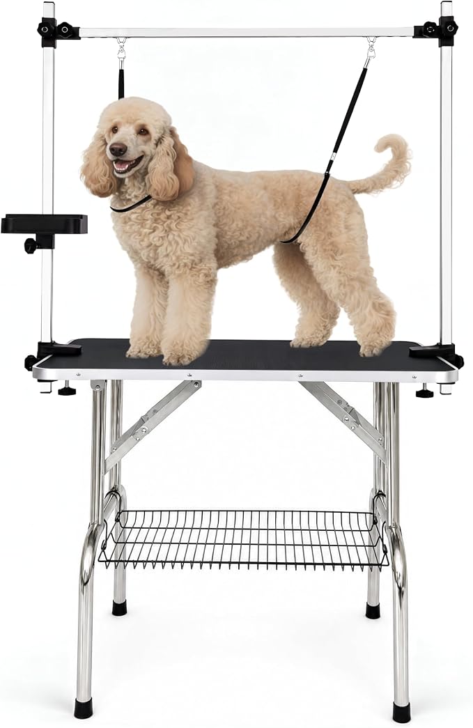 36" Foldable Dog Grooming Table with Adjustable H-Frame Arm & 2 Nooses, Heavy-Duty Stainless Steel Frame, Non-Slip Top, Tool Caddy and Mesh Tray, Black by BaoheDC