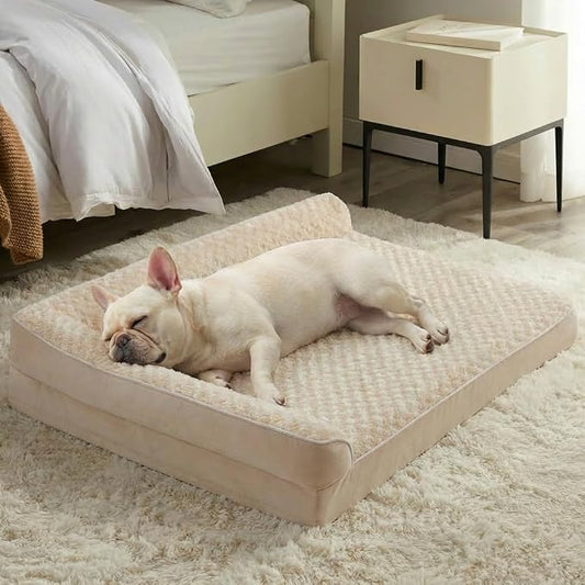 BFPETHOME Orthopedic Washable Dog Bed, Sleeping Couch for Large Senior Dogs | 36x27 Inch Deluxe Plush Rose Velvet Washable Cover, Egg Crate Foam Support, Waterproof Lining, Non-Slip Bottom, Senior Dogs by BFPETHOME