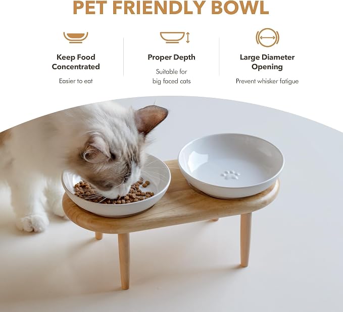 Havniva Elevated Cat Bowls, Raised Ceramic Cat Bowl with Stand, Two Heights | Cat Food & Water Bowl Set, Whisker Friendly, 5.6” Raised Cat Dishes, Shallow Cat Plate, Non-slip Wood Stand, Kitten Food Bowl - Image 5