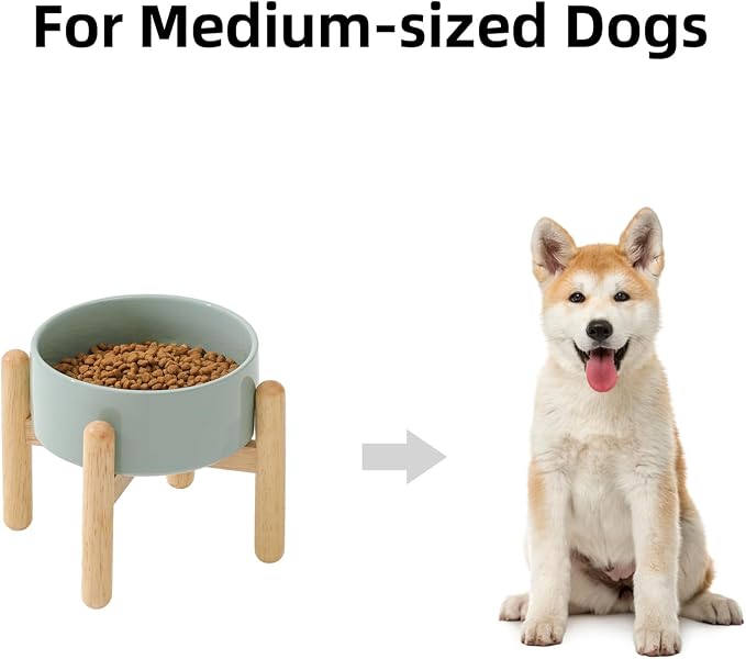 Havniva Elevated Dog Bowls Ceramic Dog Bowls with Stand, Dog Food Bowl | 6.1” Raised Dog Bowls with Non-Slip Wood Stand, Dog Food and Water Bowl Set, Dog Feeding Bowls for Small & Medium Dogs - Image 4