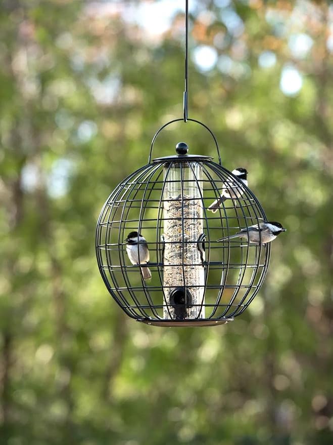 Gardener's Supply Company Globe Cage Bird Feeder | Outdoor Sturdy and Squirrel Proof Hanging Cage | Best for Finches Hummingbirds Nuthatches and Other Small Birds - Holds 3 Cups of Seeds by GardenersSupplyCompany
