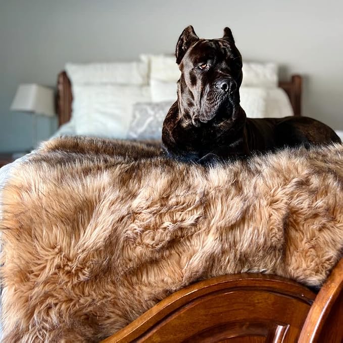 PAW BRANDS PupProtector Waterproof Throw Blanket, Sable Brown, 60x50 | Waterproof, machine washable — protects couches, beds & car seats - Image 3