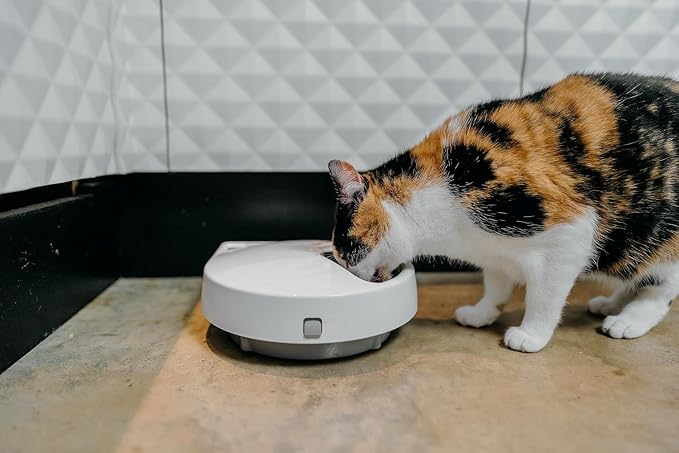 Cat Mate C500 Automatic 5 Bowl Digital Timer-Controlled Pet Feeder - for Cats and Small Dogs, Wet or Dry Food, Includes Twin Ice Packs, 5 Meals Up to 0.73 lb Each, White - Image 2