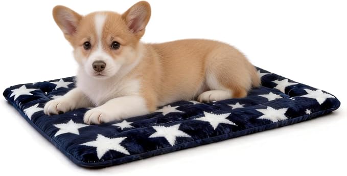 Washable Dog Bed Mat With Anti-Slip Bottom, Deluxe Plush Memory Foam Crate Pad & Waterproof Outdoor Kennel Mat For Dogs & Cats-Durable Crates Beds, Large Medium Small Puppy Size 24" x 18",Blue by Unknown