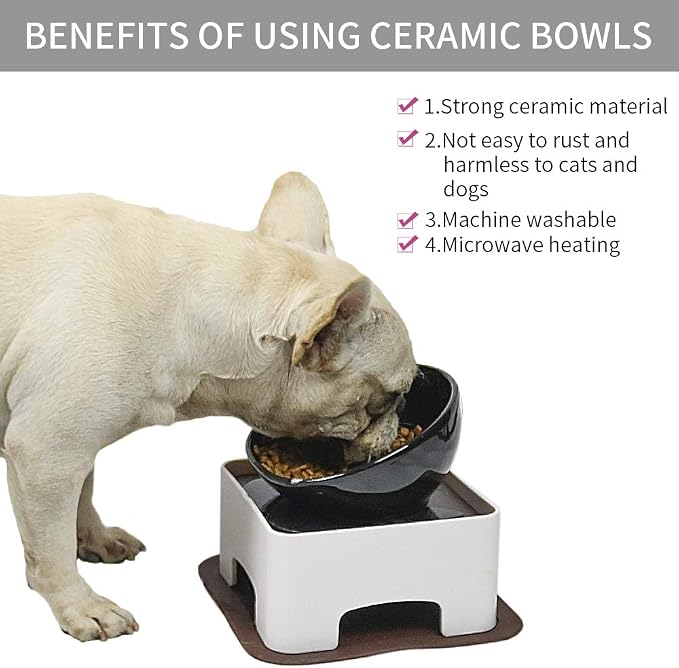Raised Tilted Dog Feeding Bowl,Elevated Ceramic Dog Bowls Set Anti-Slip,Standing Pet Feeding Dish for Small Medium Dogs and Cats,Black - Image 4